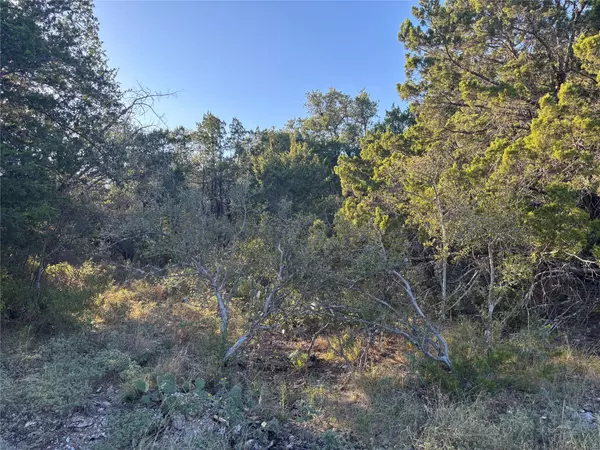 Horseshoe Bay, TX 78657,Lot K4106 Coon CT