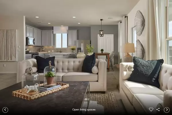 Buda, TX 78610,360 Begonia ST