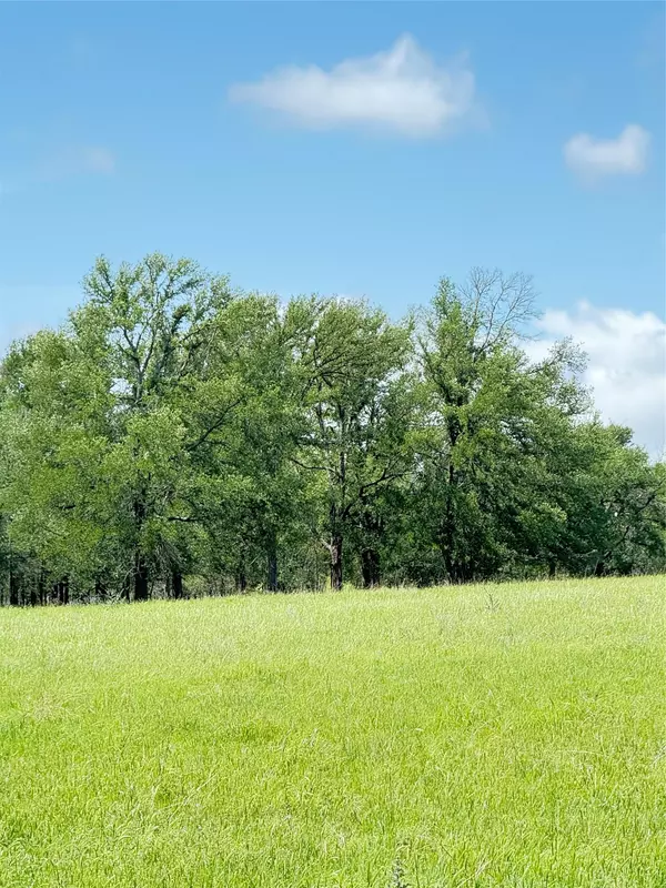 Rockdale, TX 76567,674 County Road 309