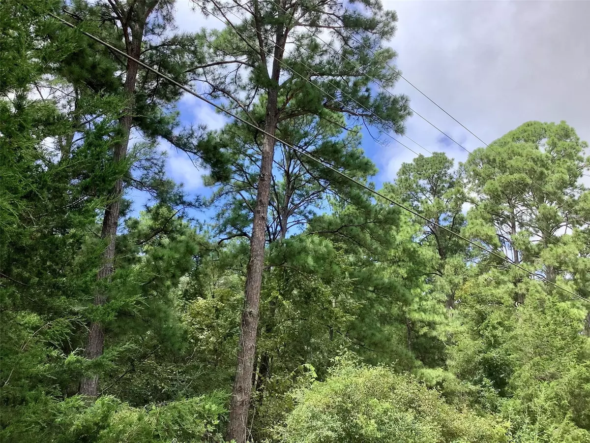 Bastrop, TX 78602,Lot259&260 Kaanapali DR
