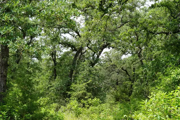 Rockdale, TX 76567,TBD County Road 322