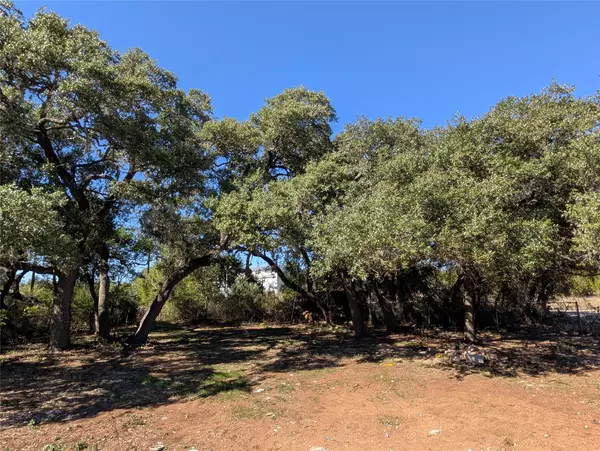 Driftwood, TX 78619,170 Brownson LN