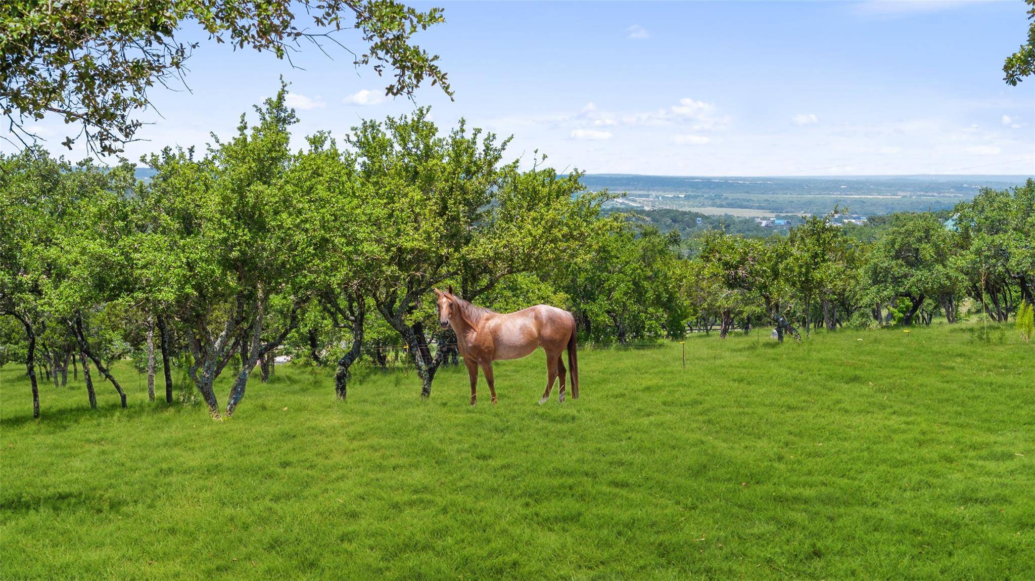 Spicewood, TX 78669,317 Scenic Ridge DR