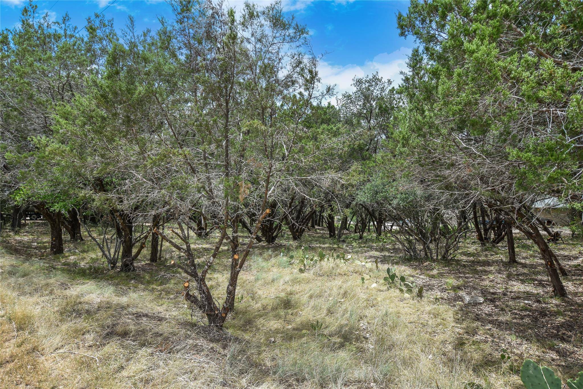 Lago Vista, TX 78645,TBD Rimrock 938 DR