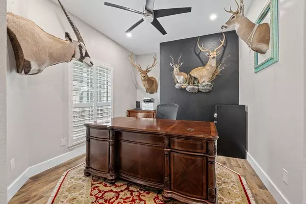 Round Rock, TX 78664,5029 Sable Oaks DR