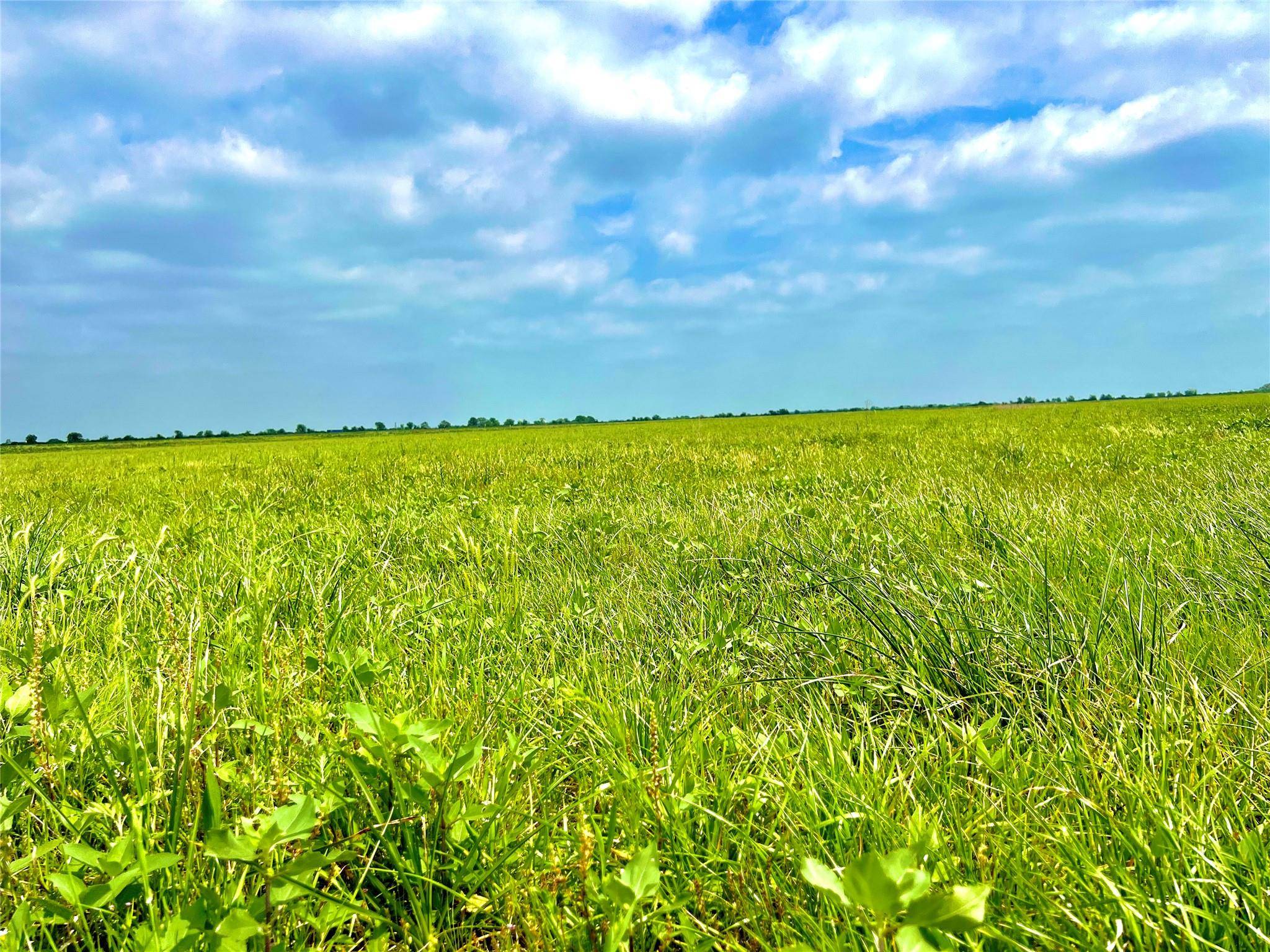 TBD Tract 13 County Road 210, Eagle Lake, TX 77434