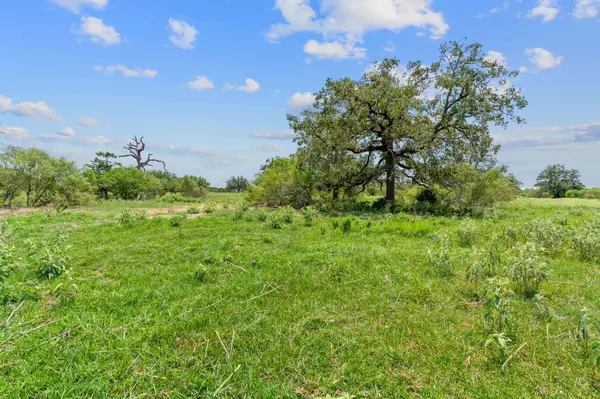 Flatonia, TX 78632,Lot 24 County Road 406