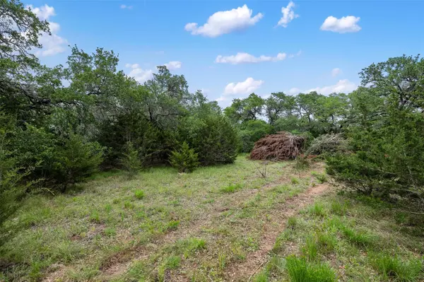 Dripping Springs, TX 78620,155 Crosswater LN