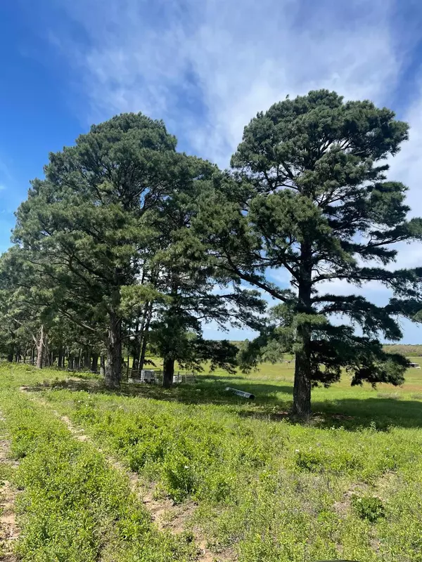 Lockhart, TX 78644,1550 Cattlemens ROW