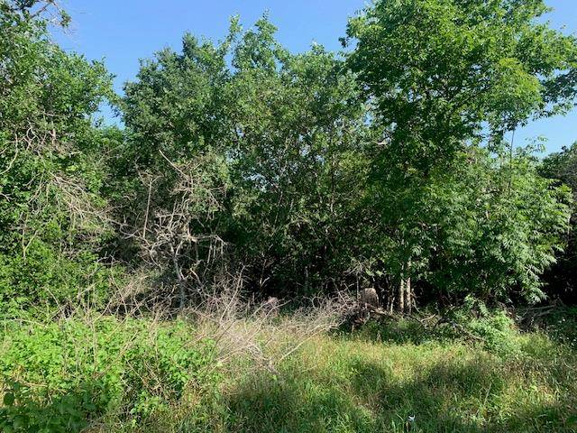 Bastrop, TX 78602,262 Colovista PKWY