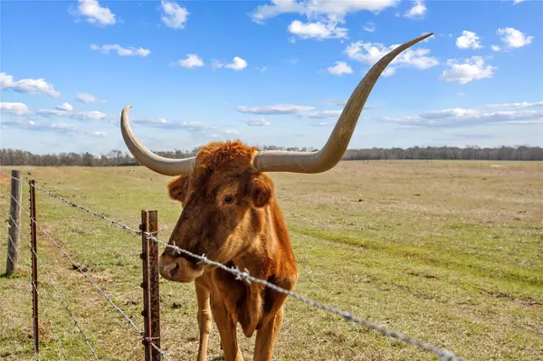 Lexington, TX 78947,TBD (15/AC) Tract 2 County Road 309