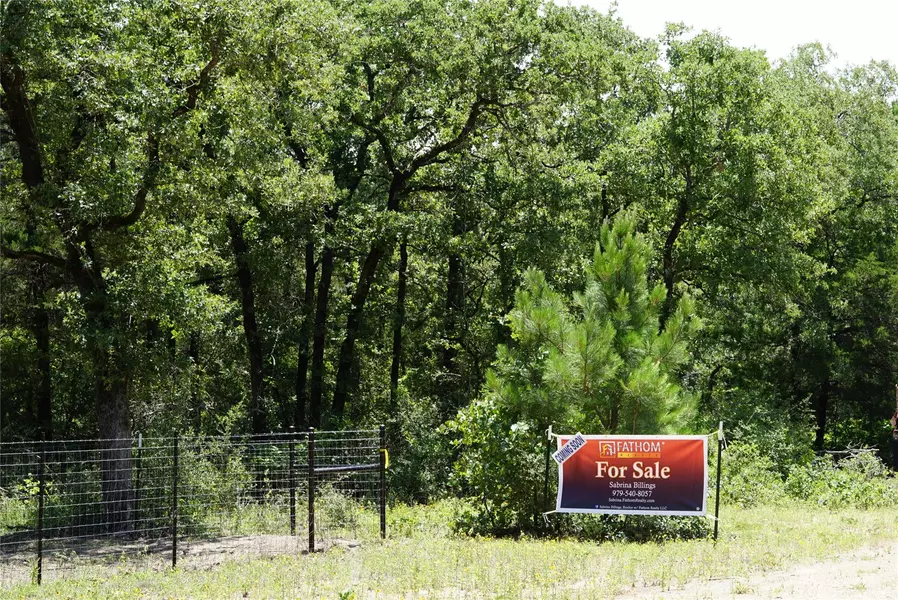 5548 CR 322, Rockdale, TX 76567