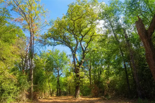 Hearne, TX 77859,5123 N State Hwy