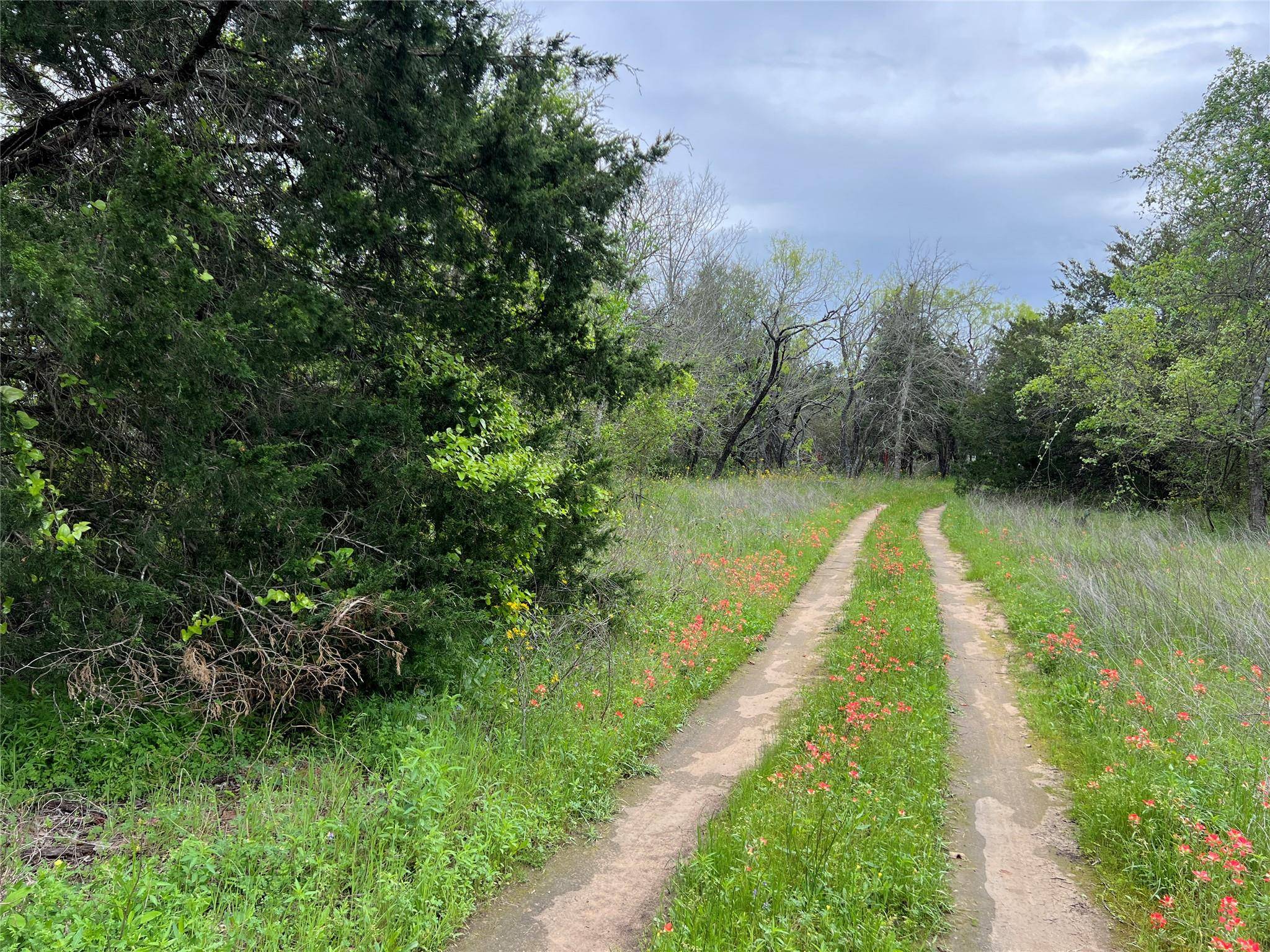 0B FM 86, Red Rock, TX 78662