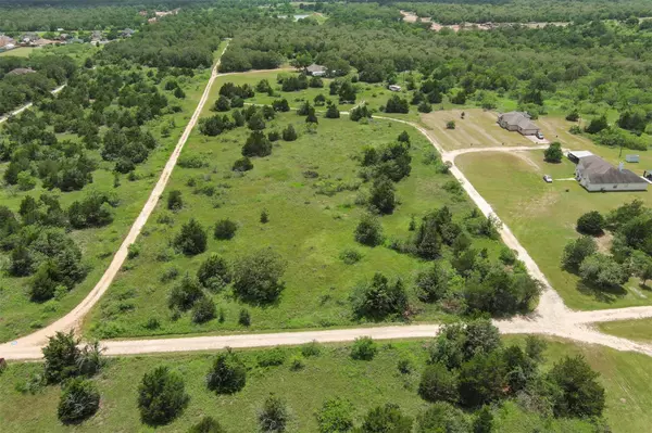 Cedar Creek, TX 78612,TBD McDonald LN W #J. Greene Tract