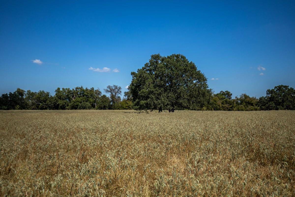 TBD Old Hwy, Calvert, TX 77837