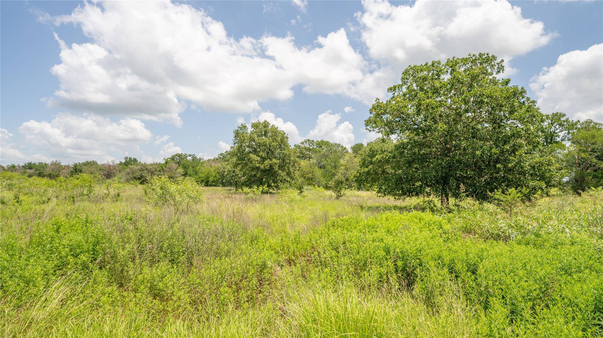 Rockdale, TX 76567,5672 County Road 314