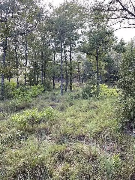 TBD Kaelepulu Dr., Bastrop, TX 78602