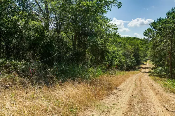 Bastrop, TX 78602,Lot 649 Kaukonahua LN