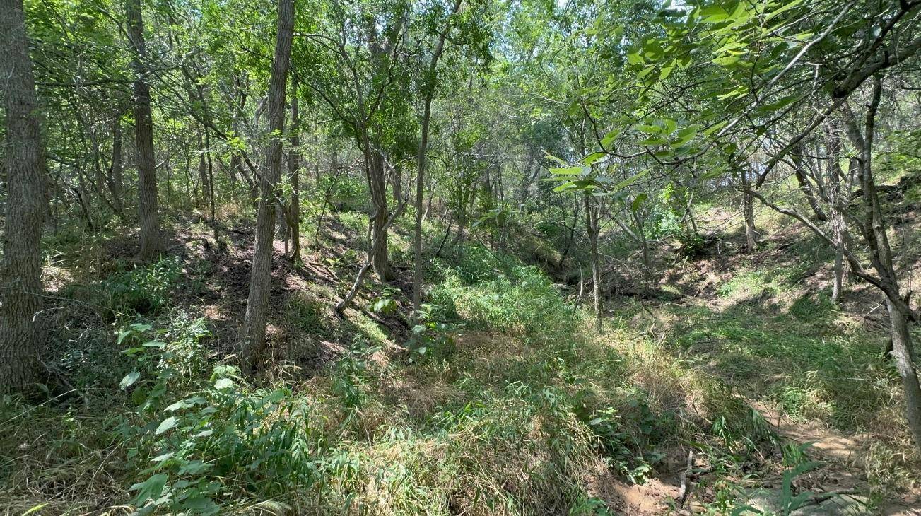 Lot 649 Kaukonahua LN, Bastrop, TX 78602