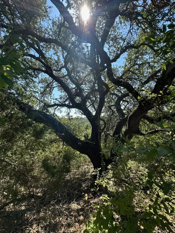 Lago Vista, TX 78645,8503 Talon CIR