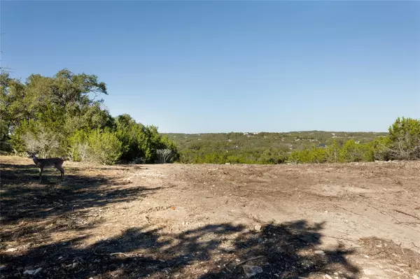 Driftwood, TX 78619,736 Covered Bridge DR