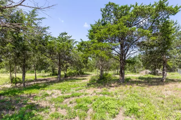 105 Crooked RD, Dale, TX 78616