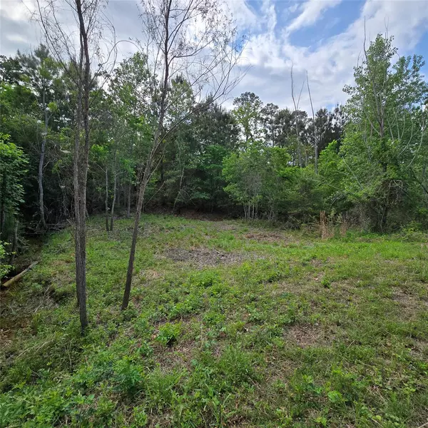 Bastrop, TX 78602,TBD N Kanaio DR
