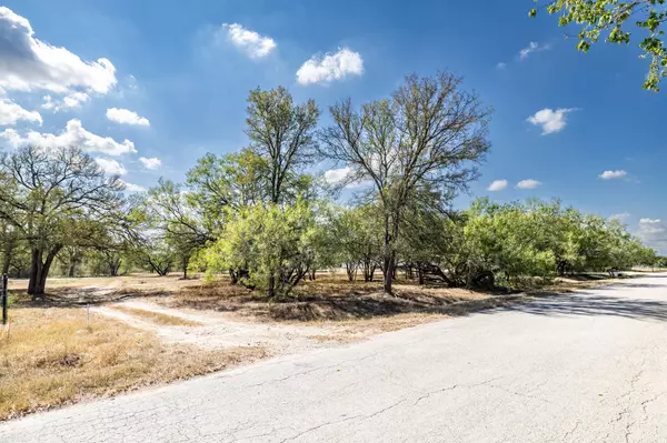 Cedar Creek, TX 78612,133 Wright DR