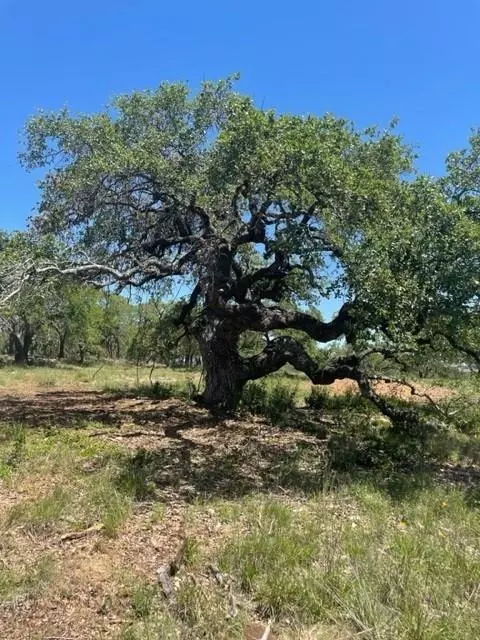 Blanco, TX 78606,000 Whiskey TRL