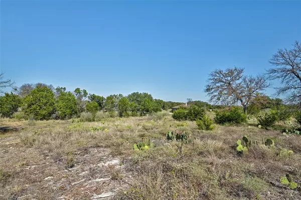 Spicewood, TX 78669,Lot 210 Enchanted Oaks PT
