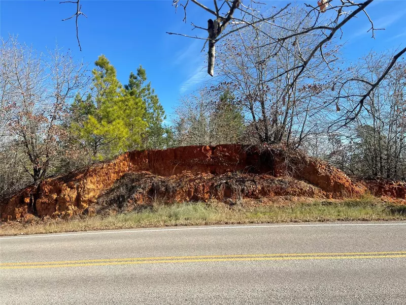 Lot 1462 Tahitian DR, Bastrop, TX 78602