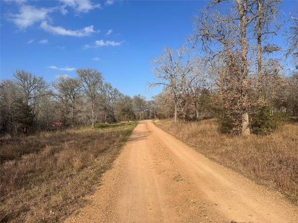 1719 Watterson RD, Red Rock, TX 78662