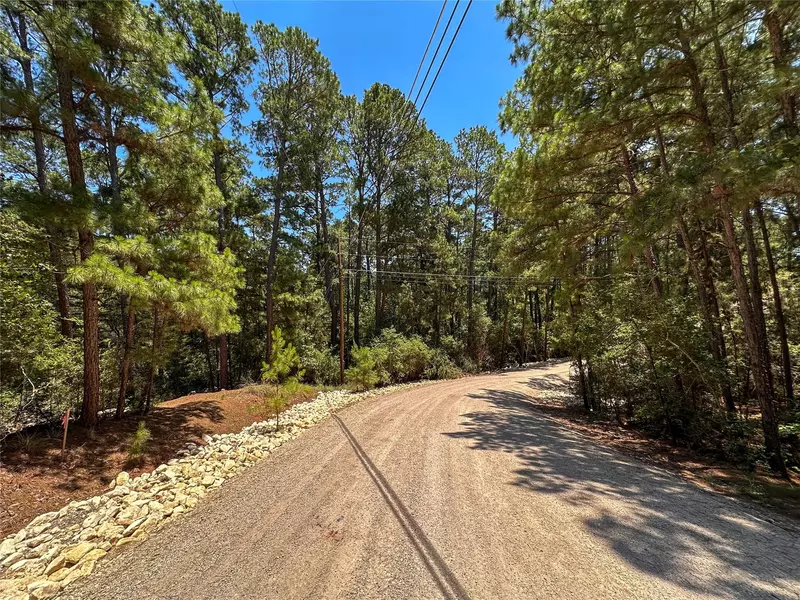 133 Wainee DR, Bastrop, TX 78602