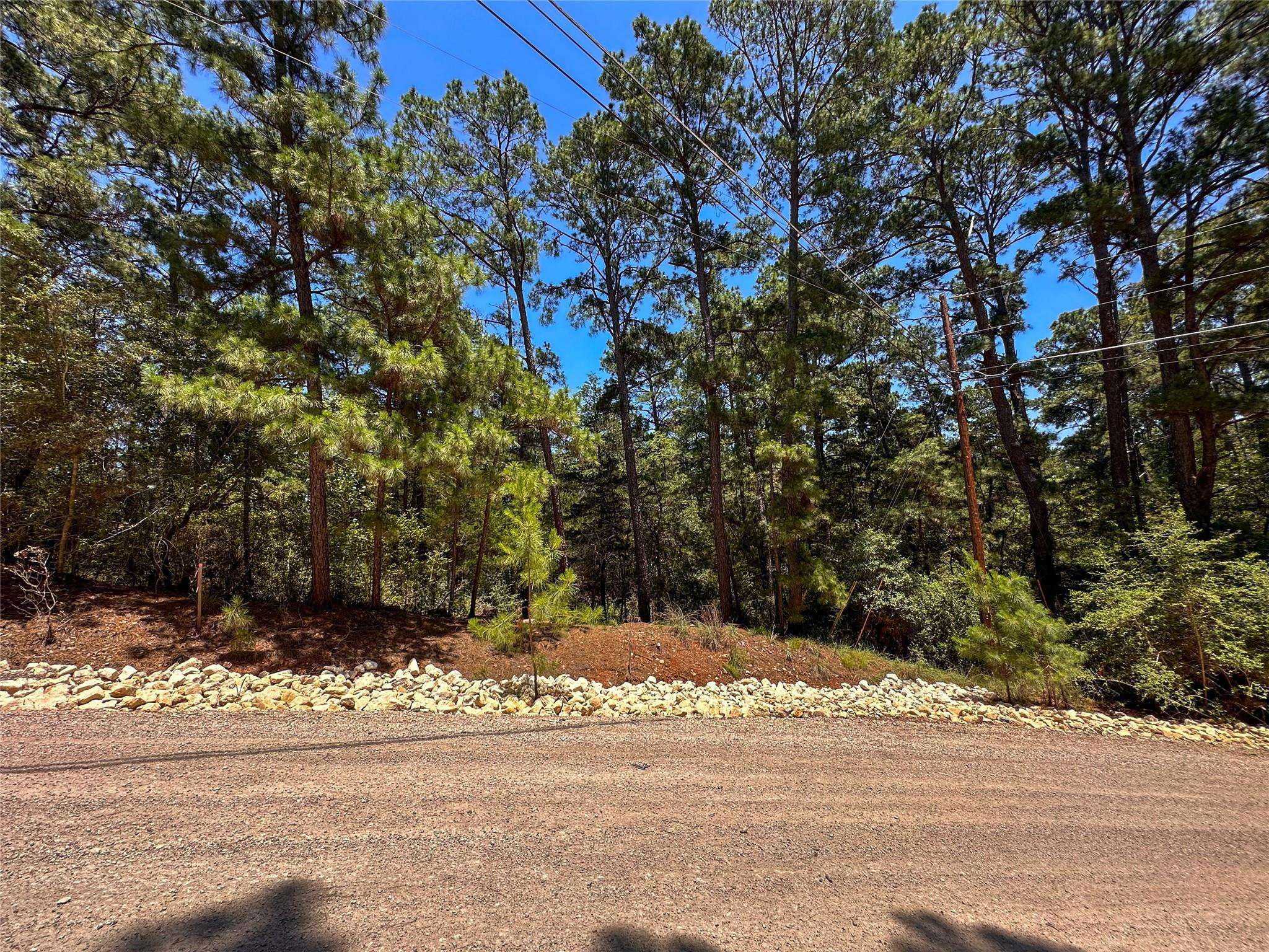 Bastrop, TX 78602,133 Wainee DR