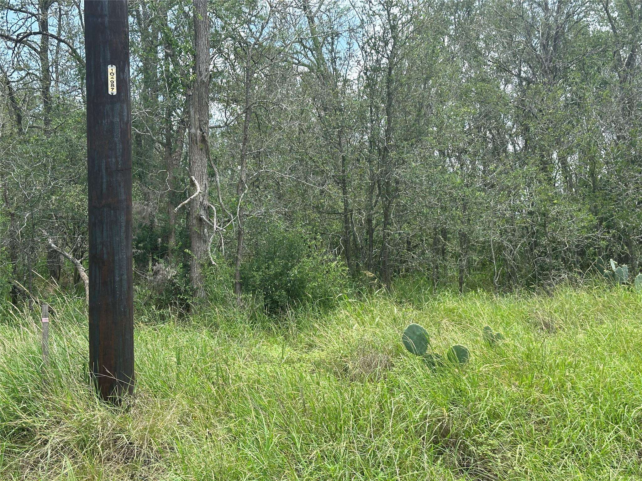 Bastrop, TX 78602,191 Puu Waa Waa LN