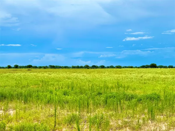 Columbus, TX 78934,TBD Tract 105 Pin Tail LN