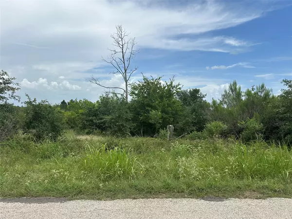 Bastrop, TX 78602,TBD McAllister RD