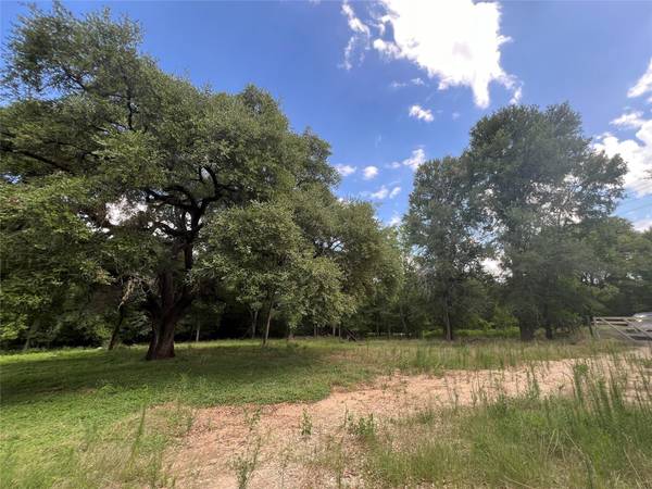 135 Powell RD, Smithville, TX 78957