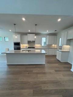 Georgetown, TX 78628,1429 Blue Moon DR