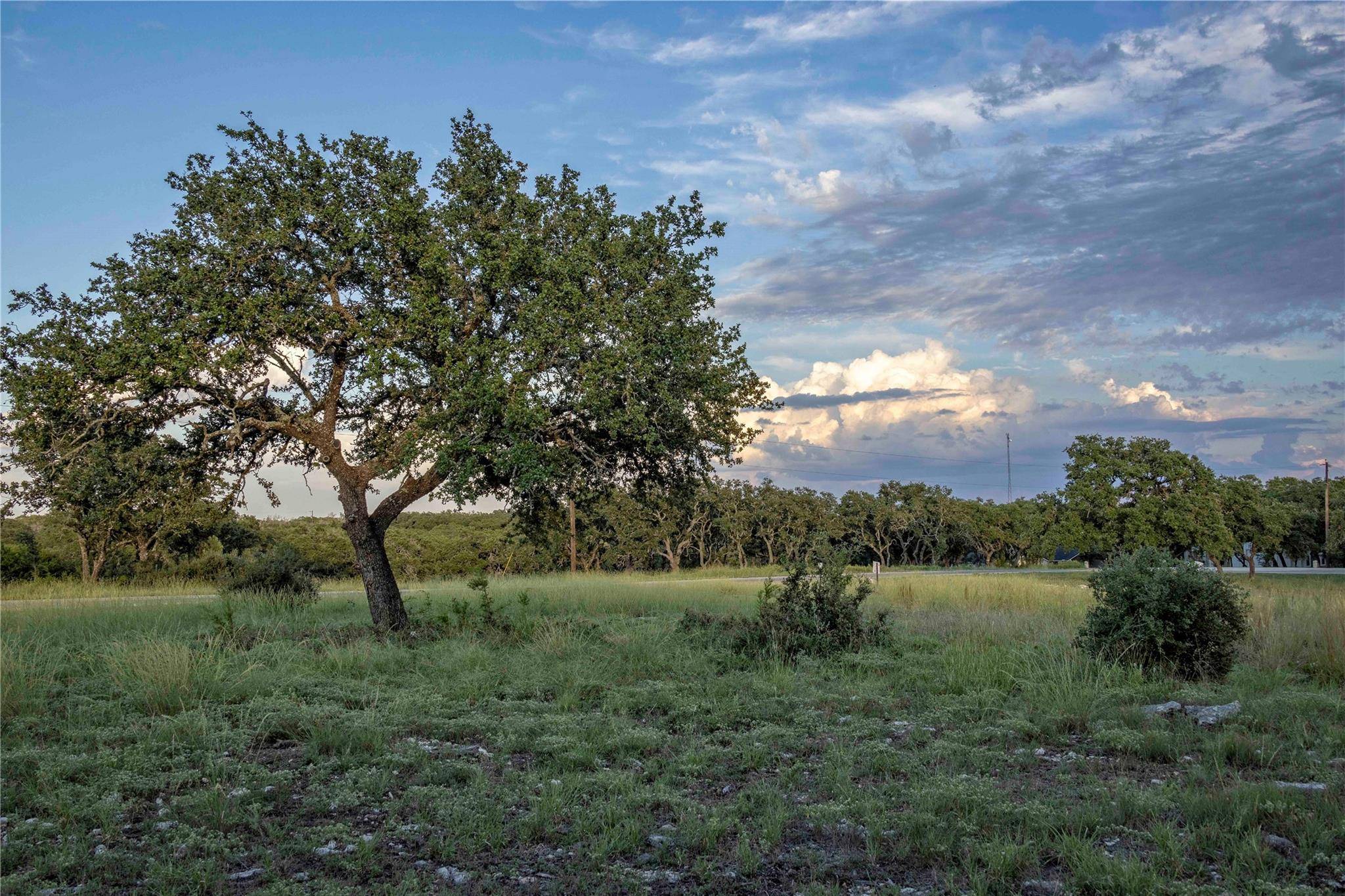 Burnet, TX 78611,230 Bush Bok DR