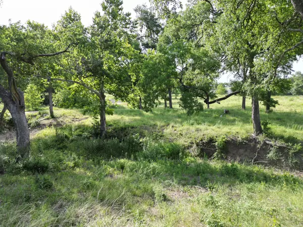 Bertram, TX 78605,Lot 29 Serenity DR