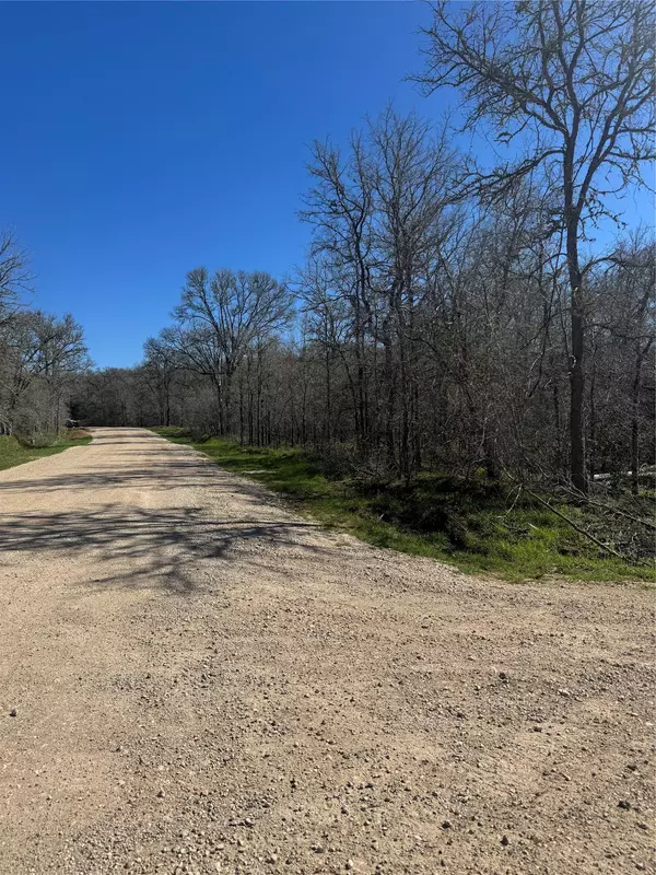 Bastrop, TX 78602,Lot 321 Kolekole LN