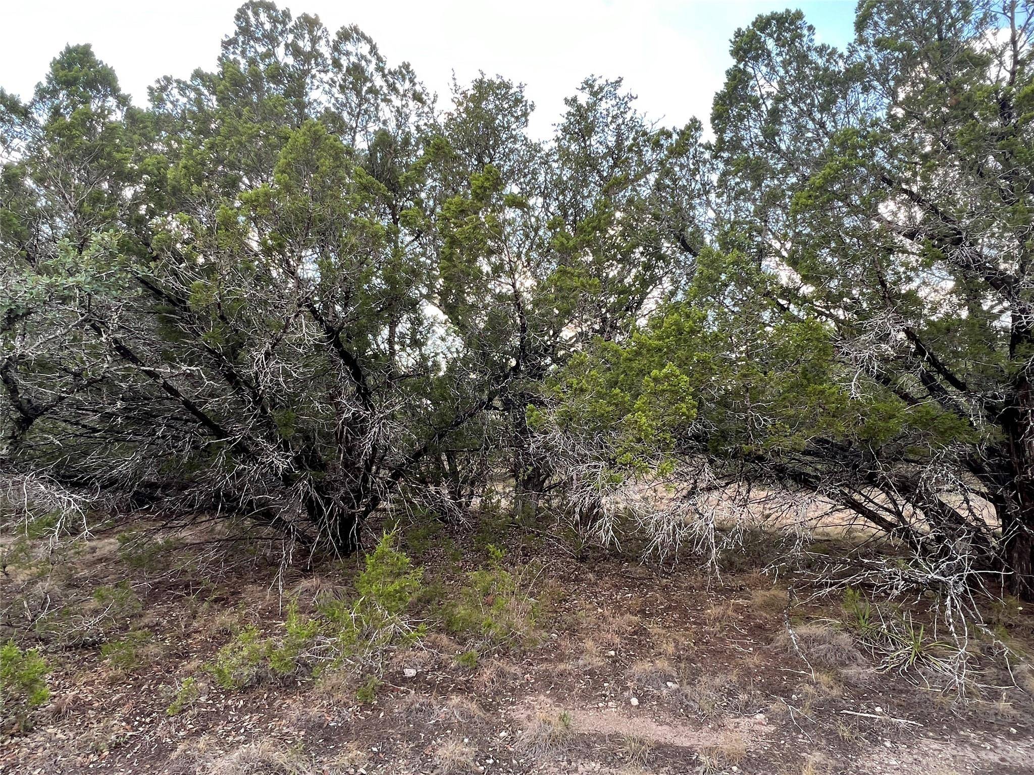 21303 Santa Rosa Ave, Lago Vista, TX 78645