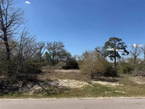 Paige, TX 78659,490 (Lot 5B) Cardinal DR
