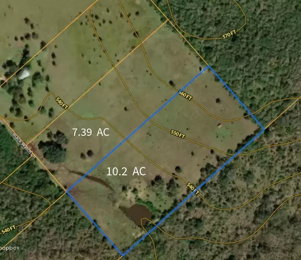 Lockhart, TX 78644,415 Black Watch LN