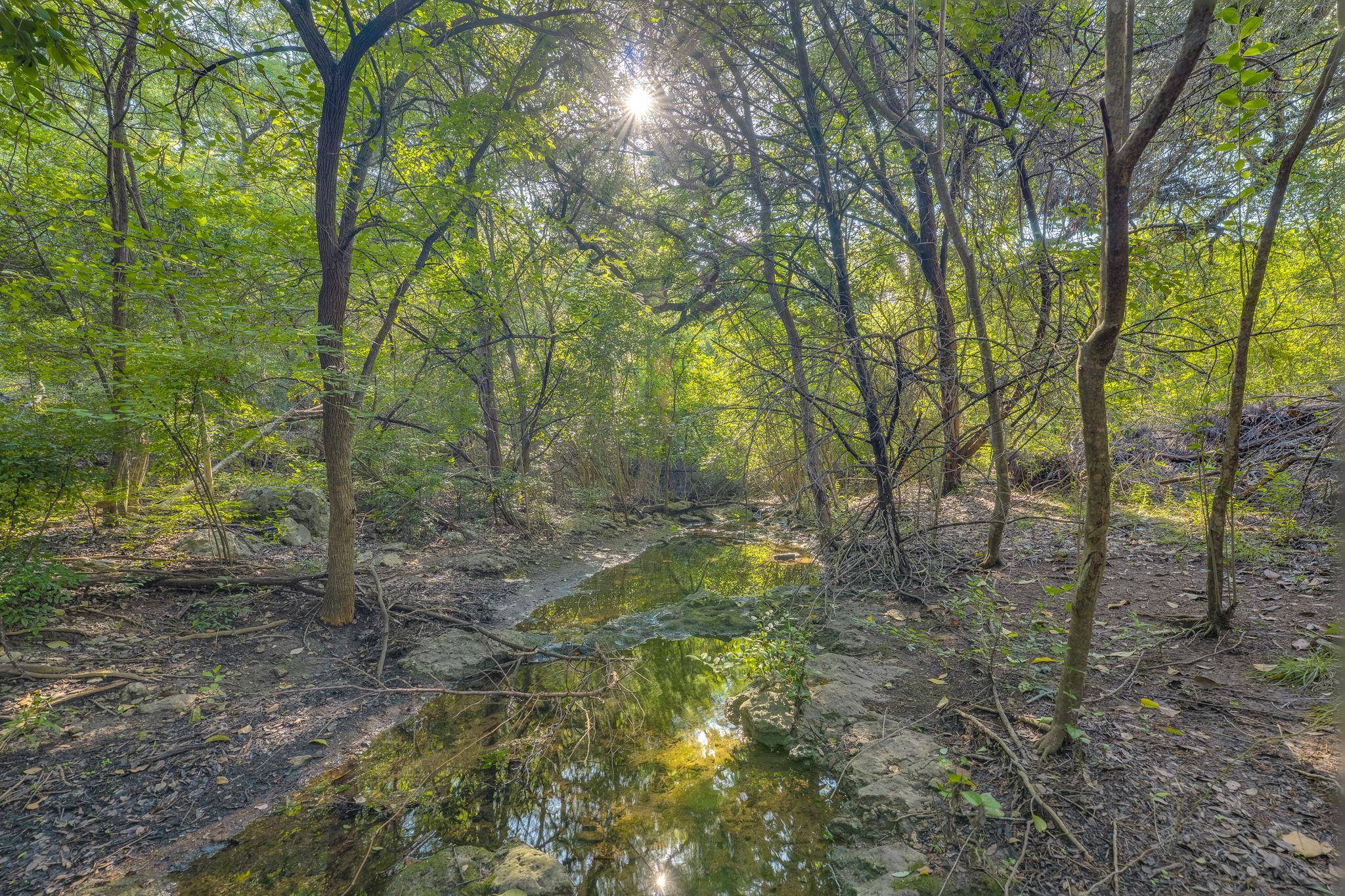 Austin, TX 78750,10701 Glass Mountain TRL