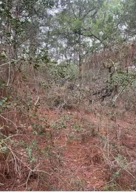 Bastrop, TX 78602,Lot 345 Wainee DR