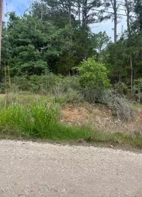 Bastrop, TX 78602,Lot 345 Wainee DR