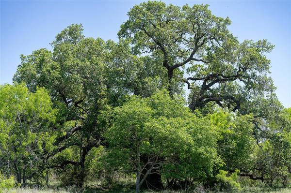 Nixon, TX 78140,TBD County Rd 171 RD